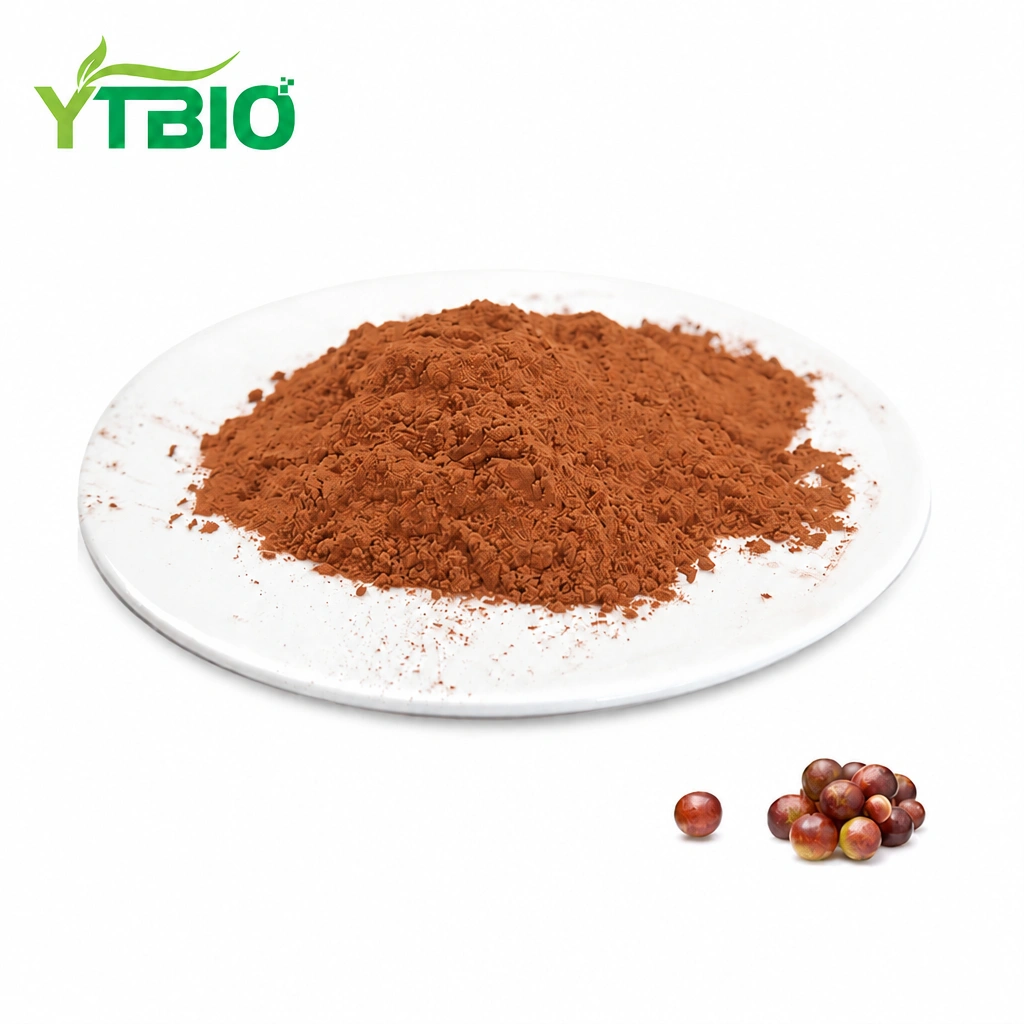 Camu Camu fruit powder 